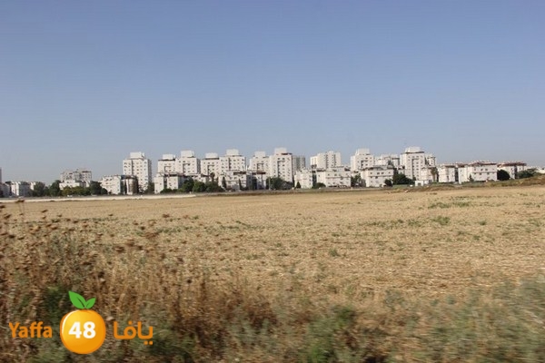 horse race 0602 (27).JPG